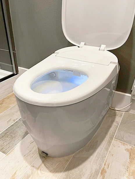 Intelligent Toilet