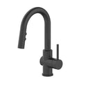 Aerro 1.8 GPM Veggie/Bar Pulldown-1