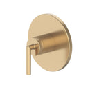 Aerro Valve Only Trim-4