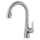 Canale 1.8 GPM Pulldown-2