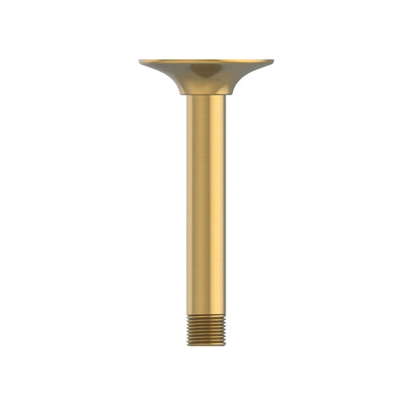 6" Ceiling Mount Shower Arm & Flange