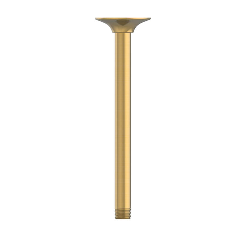 10" Ceiling Mount Shower Arm & Flange