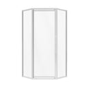 FRAMED NEO ANGLE SHOWER DOOR-2
