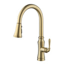Embellish 3-Function Pull Down-1