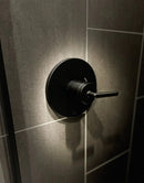 Aerro Valve Only Trim-5