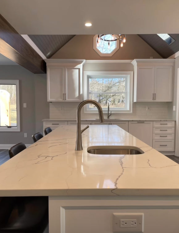 Dimension 1.8 GPM Veggie/Bar Pulldown