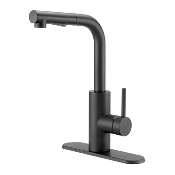 Pastiche 1.75 GPM Pullout - 0